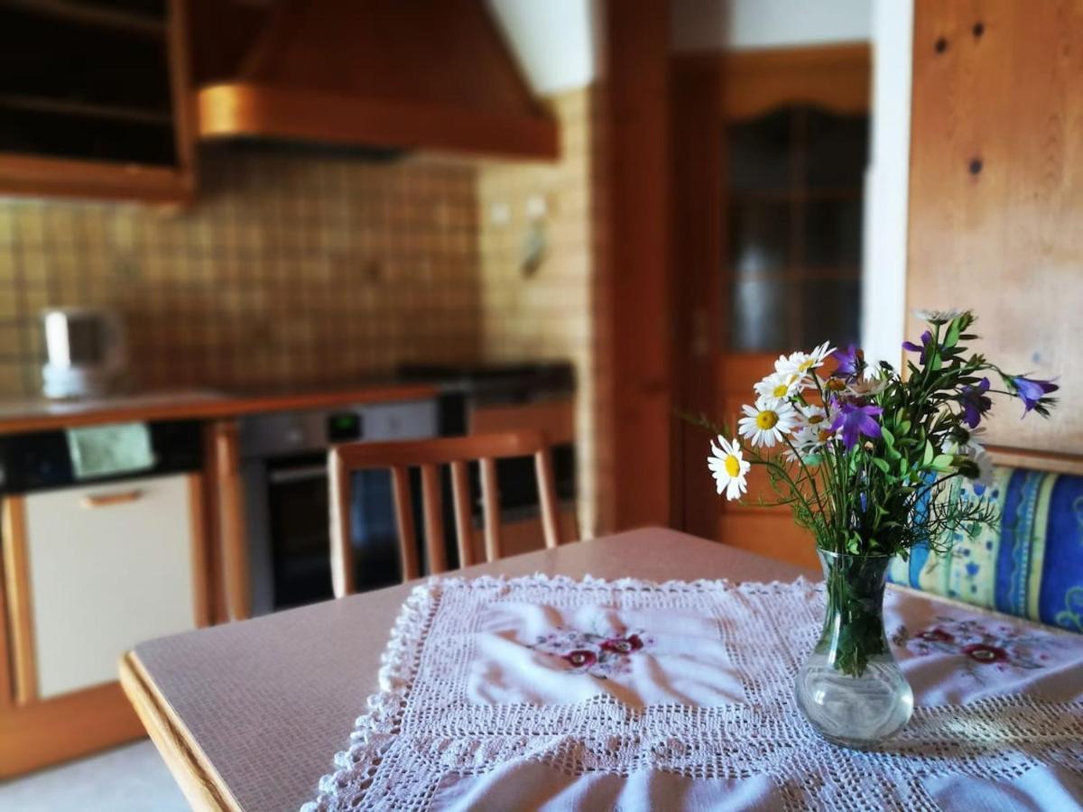 Guesthouse Schoba Typ D Kirchbach  外观 照片